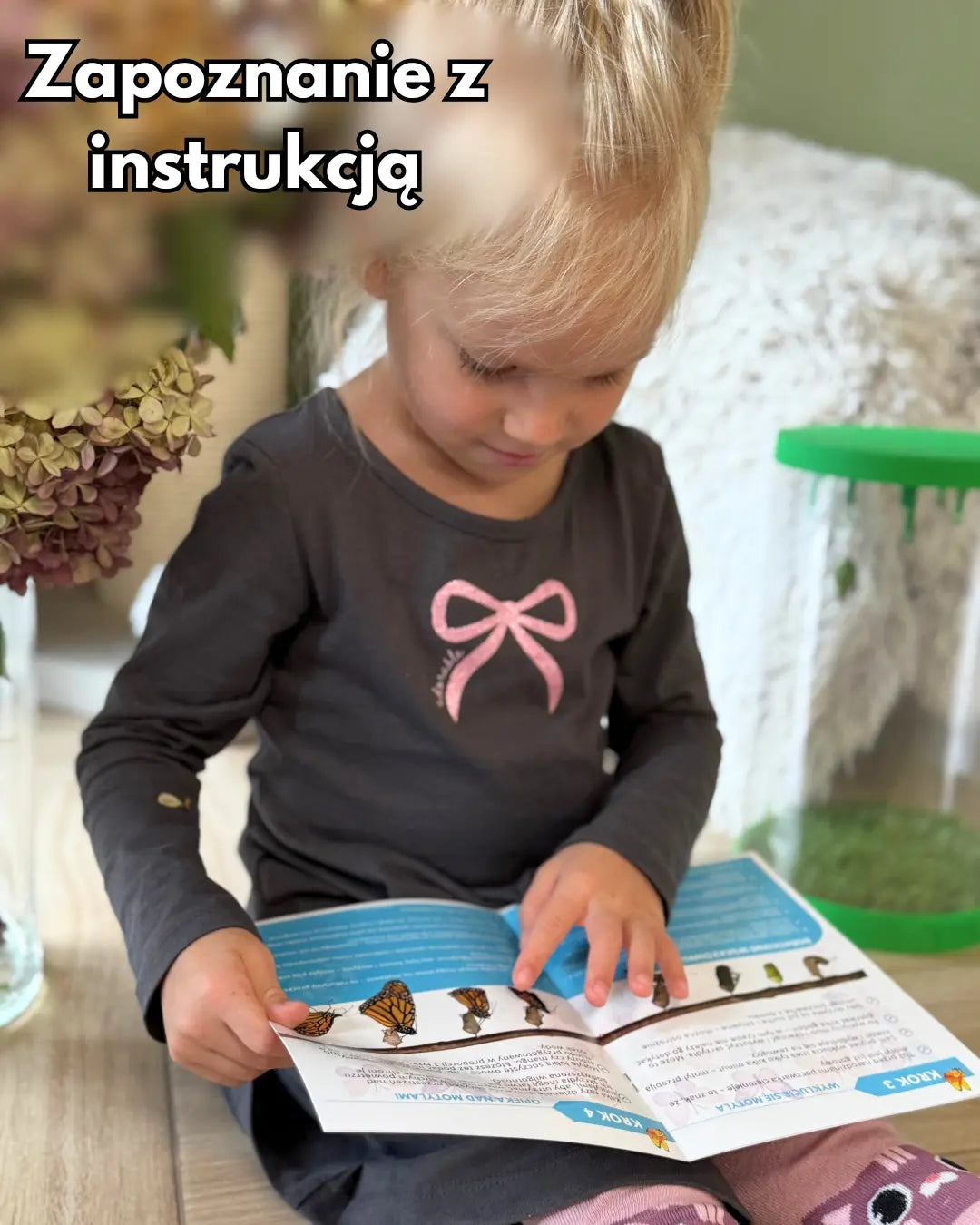 TropiFly™- Wylęgarnik