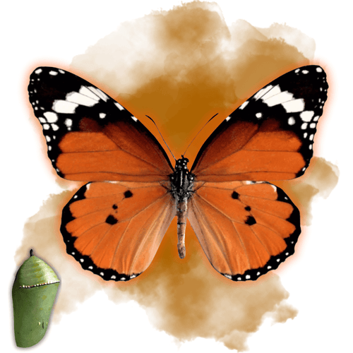 Danaus Chrysippus - TropiFly™