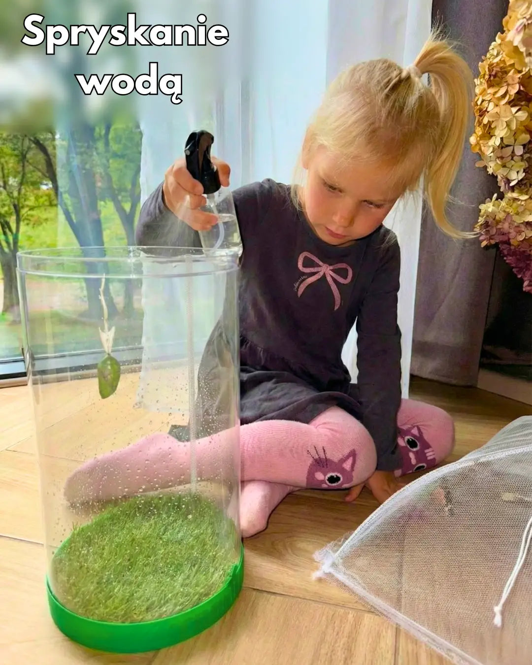 TropiFly™- Wylęgarnik