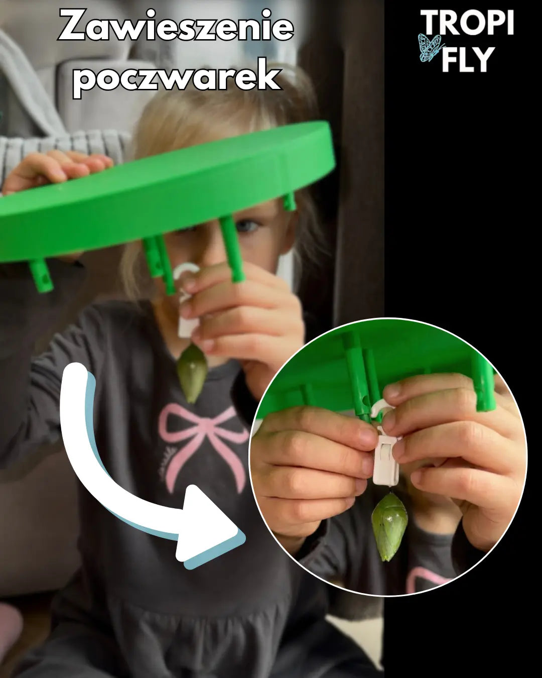 TropiFly™- Wylęgarnik