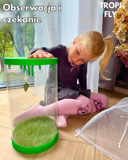 TropiFly™- Wylęgarnik