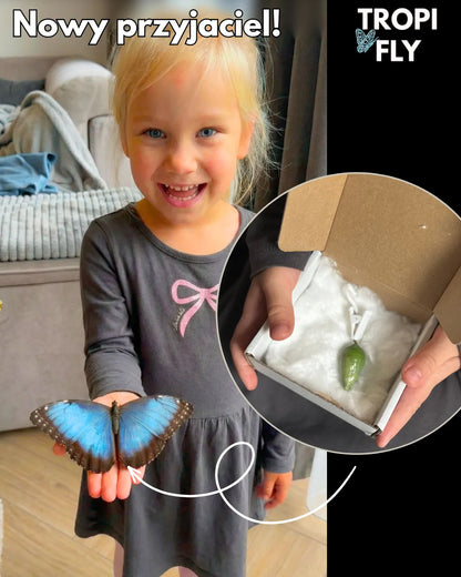 TropiFly™- Wylęgarnik