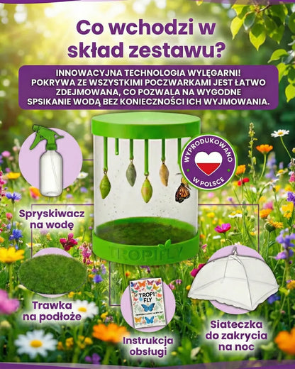 TropiFly™- Wylęgarnik