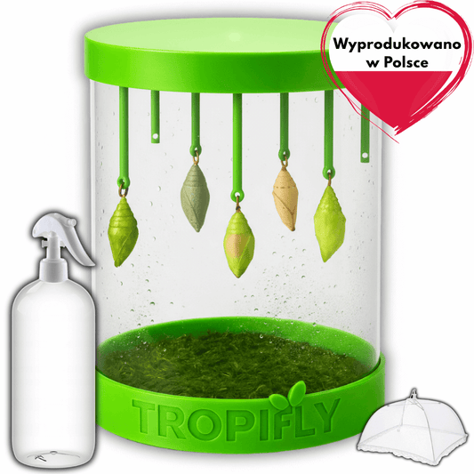 TropiFly™- Wylęgarnik