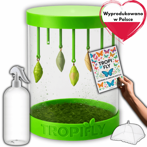 TropiFly™- Wylęgarnik