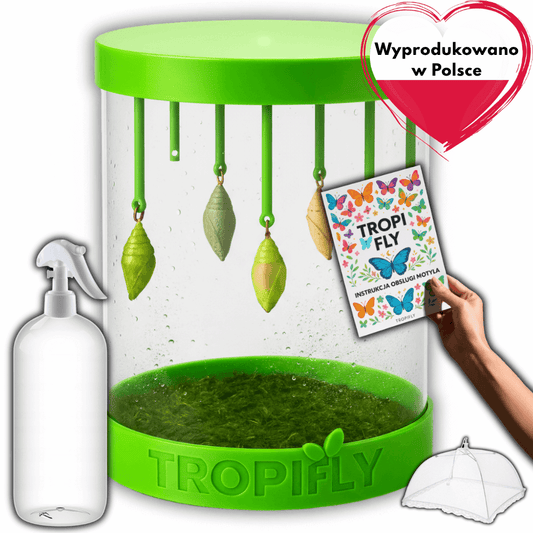 TropiFly™- Wylęgarnik